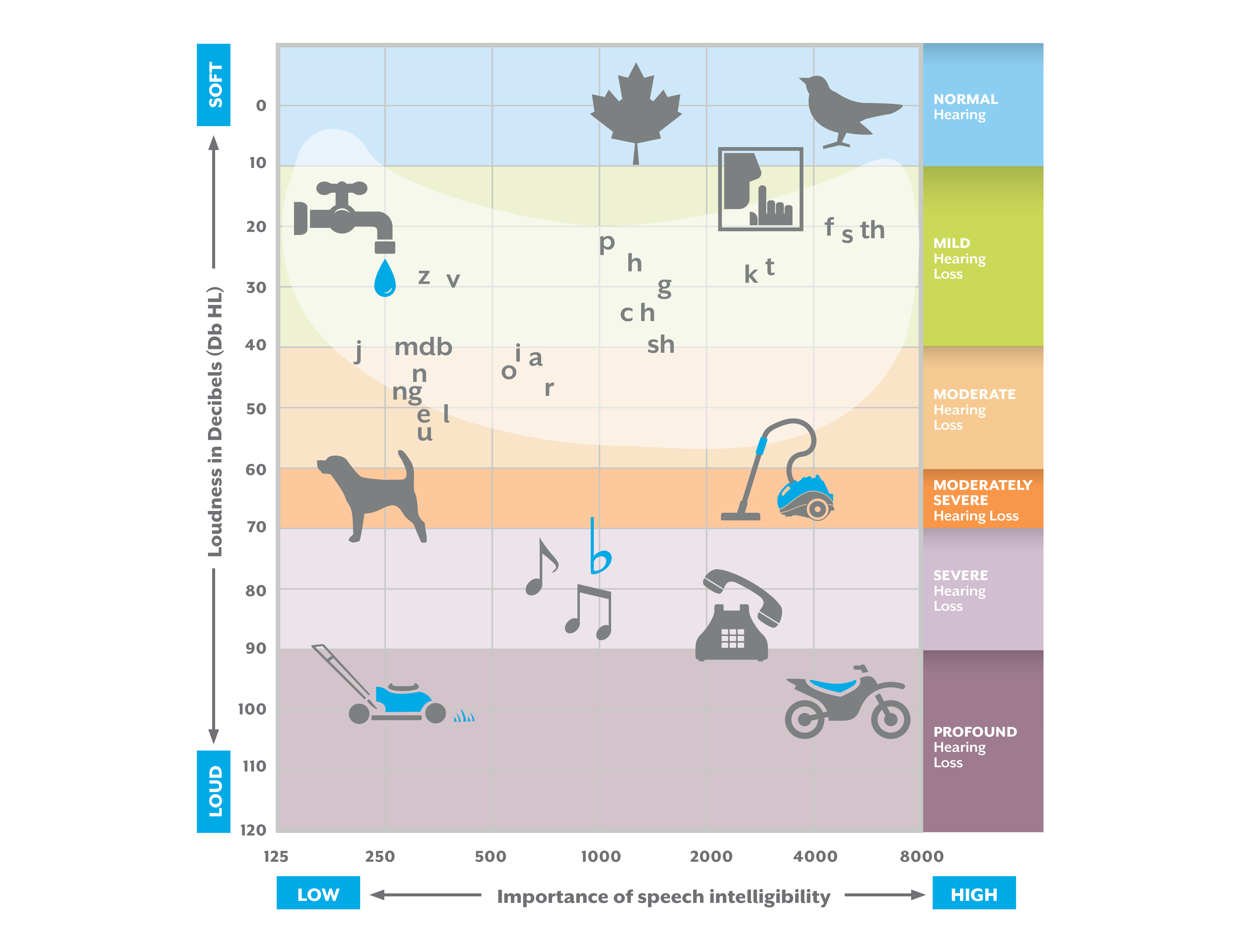 A Simple Guide To Understanding An Audiogram